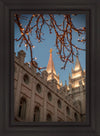 Salt Lake City Temple He Giveth Light