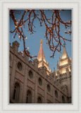 Salt Lake City Temple He Giveth Light