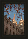 Salt Lake City Temple He Giveth Light