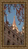 Salt Lake City Temple He Giveth Light