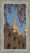 Salt Lake City Temple He Giveth Light