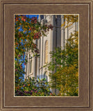 Salt Lake City Temple His Declaration