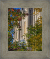 Salt Lake City Temple His Declaration