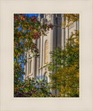 Salt Lake City Temple His Declaration