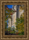 Salt Lake City Temple His Declaration