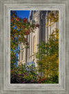 Salt Lake City Temple His Declaration