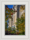 Salt Lake City Temple His Declaration