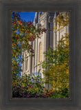 Salt Lake City Temple His Declaration