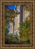 Salt Lake City Temple His Declaration