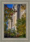 Salt Lake City Temple His Declaration