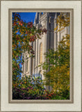 Salt Lake City Temple His Declaration