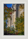 Salt Lake City Temple His Declaration