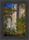 Salt Lake City Temple His Declaration