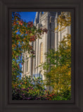 Salt Lake City Temple His Declaration