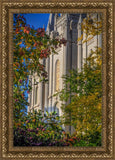 Salt Lake City Temple His Declaration