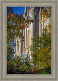 Salt Lake City Temple His Declaration