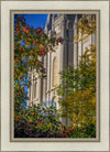 Salt Lake City Temple His Declaration