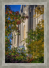 Salt Lake City Temple His Declaration