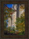 Salt Lake City Temple His Declaration