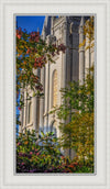 Salt Lake City Temple His Declaration