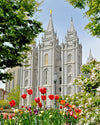 Salt Lake City Temple June - God Is the Gardner