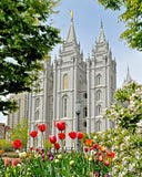 Salt Lake City Temple June - God Is the Gardner