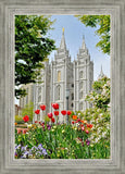 Salt Lake City Temple June - God Is the Gardner