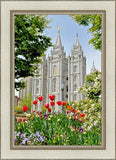 Salt Lake City Temple June - God Is the Gardner