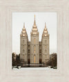 Salt Lake City Temple Warming Reflection