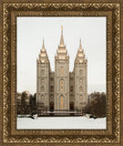 Salt Lake City Temple Warming Reflection