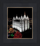 Salt Lake City Temple Wondrous Perspective