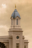 Cedar City Golden Sunshine Vertical