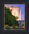 Mesa Temple Living Heritages