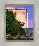 Mesa Temple Living Heritages