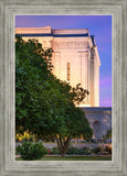 Mesa Temple Living Heritages