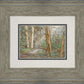 Sacred Grove