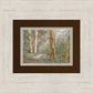 Sacred Grove
