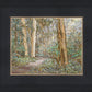 Sacred Grove