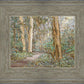 Sacred Grove