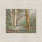Sacred Grove
