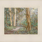 Sacred Grove