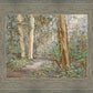 Sacred Grove