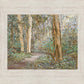 Sacred Grove