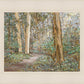 Sacred Grove