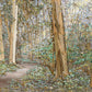 Sacred Grove