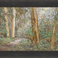Sacred Grove