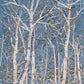 Woodland