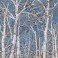 Woodland