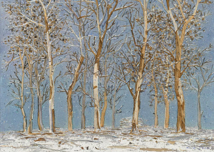 Winter Woods