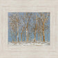 Winter Woods